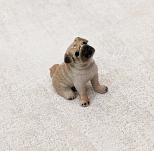 Load image into Gallery viewer, Pug Puppy Dog Minifig Mini Figurine