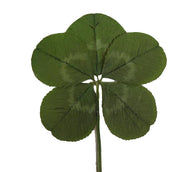Real Genuine Five Leaf Clover