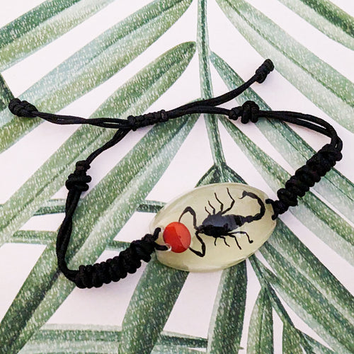 Real Glow in the Dark Black Scorpion Lucky Red Seed Bracelet - Heterometrus spinifer