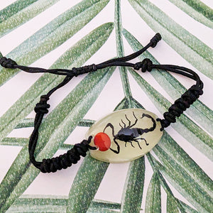 Real Glow in the Dark Black Scorpion Lucky Red Seed Bracelet - Heterometrus spinifer