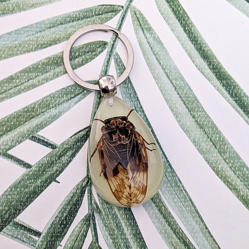 Real Cicada Glow in the Dark Keyring Keychain