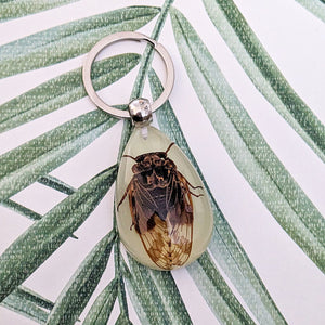 Real Cicada Glow in the Dark Keyring Keychain