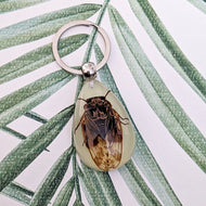 Real Cicada Glow in the Dark Keyring Keychain