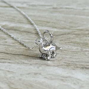 Solid 925 Sterling Silver Diplodocus Dinosaur Pendant Necklace