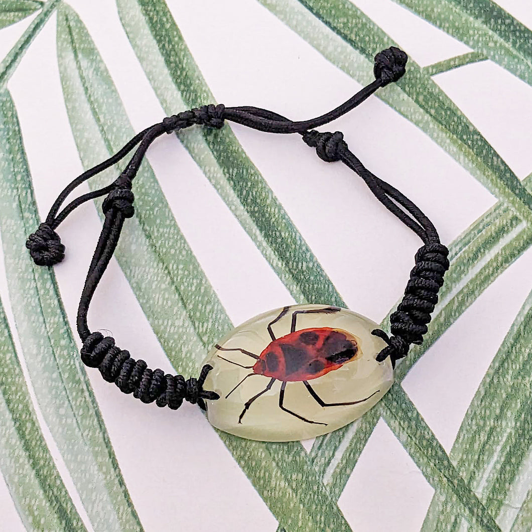 Real Firebug Glow in the Dark Bracelet - Pyrrhocoris apterus