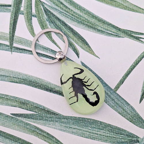 Real Black Scorpion Glow in the Dark Keyring Keychain - Heterometrus spinifer
