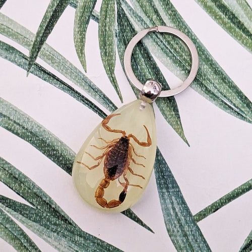 Real Scorpion Glow in the Dark Keyring Keychain - Pseudolychas ochraceus