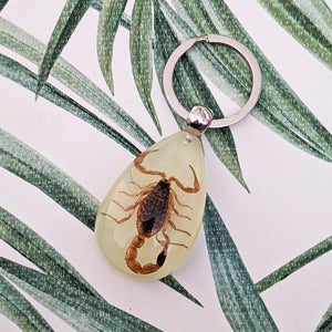 Real Scorpion Glow in the Dark Keyring Keychain - Pseudolychas ochraceus