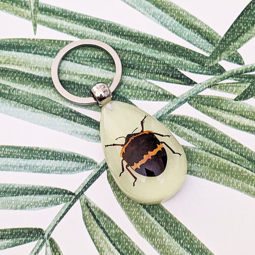 Real Golden Striped Shield Bug Glow in the Dark Keyring Keychain - poecilocoris balteatus