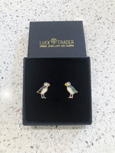 Load image into Gallery viewer, Lucky Paua Shell and Mother of Pearl Puffin Stud Earrings