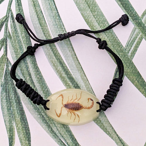 Real Glow in the Dark Scorpion Bracelet - Pseudolychas ochraceus
