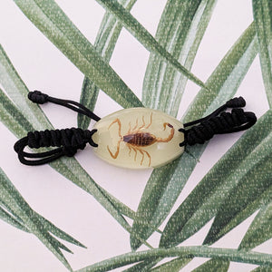 Real Glow in the Dark Scorpion Bracelet - Pseudolychas ochraceus