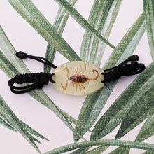 Load image into Gallery viewer, Real Glow in the Dark Scorpion Bracelet - Pseudolychas ochraceus