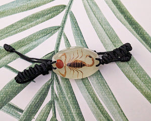 Real Glow in the Dark Scorpion Lucky Red Seed Bracelet - Pseudolychas ochraceus