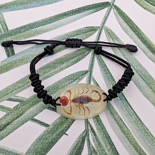Real Glow in the Dark Scorpion Lucky Red Seed Bracelet - Pseudolychas ochraceus