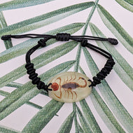 Real Glow in the Dark Scorpion Lucky Red Seed Bracelet - Pseudolychas ochraceus