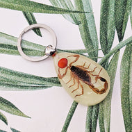 Real Scorpion Glow in the Dark Keyring Keychain with Lucky Red Seed - Pseudolychas ochraceus