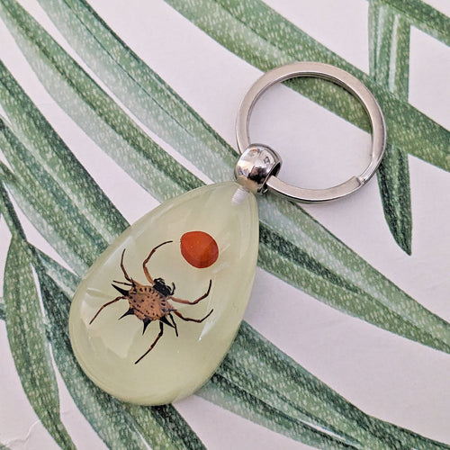 Real Spiny Backed Orb Weaver Glow in the Dark Spider Keyring Keychain