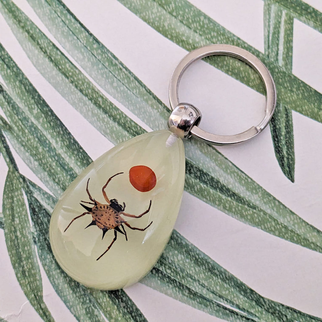 Real Spiny Backed Orb Weaver Glow in the Dark Spider Keyring Keychain