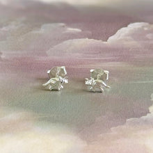 Load image into Gallery viewer, Sterling Silver Triceratops Dinosaur Stud Earrings