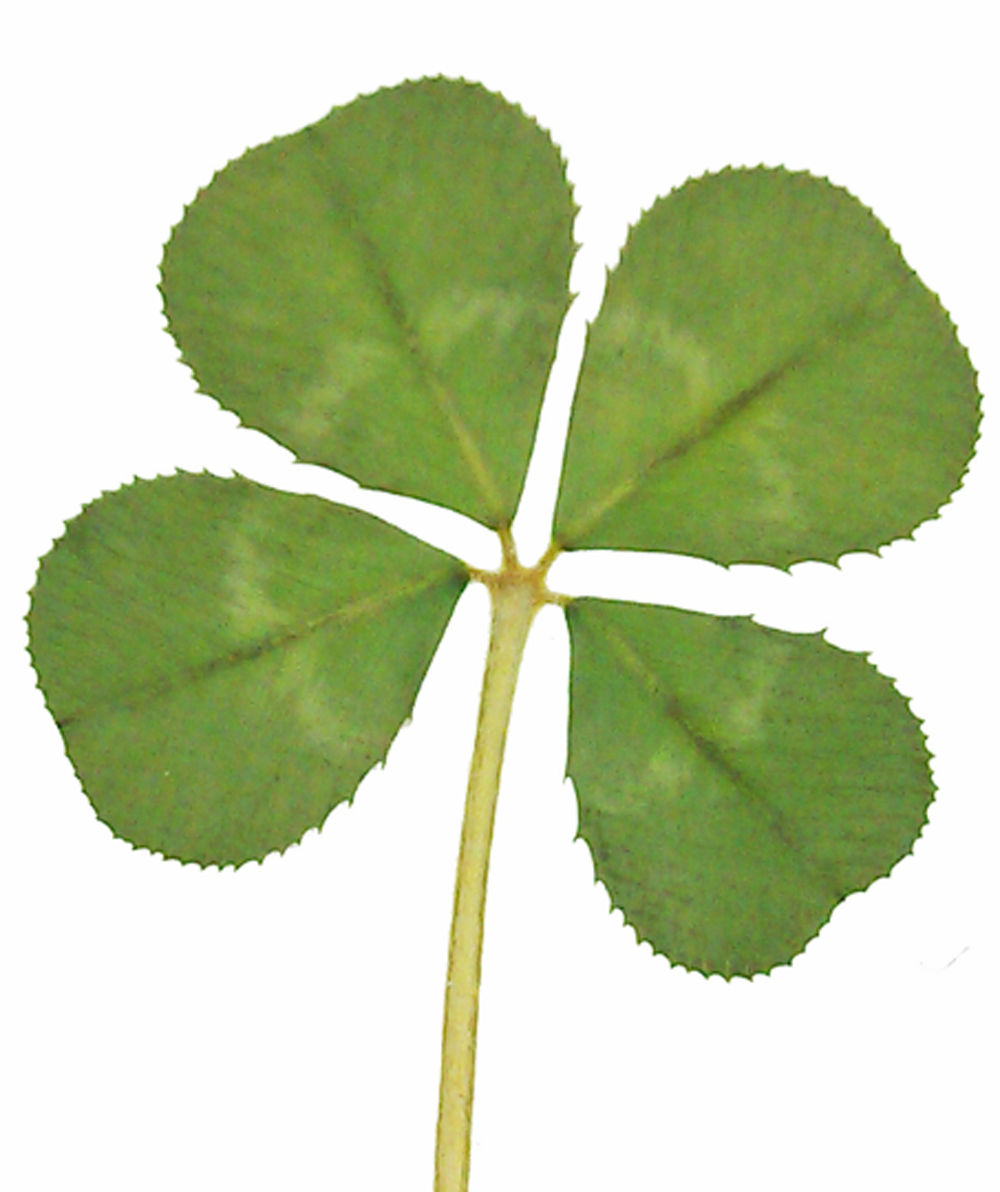 four leaf clover様 リクエスト 3点 まとめ商品 four leaf clover様 リクエスト 3点 まとめ商品