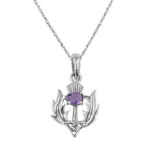 Load image into Gallery viewer, Celtic Scottish Thistle with Amethyst Pendant Necklace