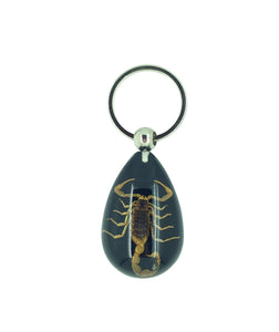 Real Scorpion Black Keyring Keychain