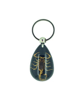 Real Scorpion Black Keyring Keychain