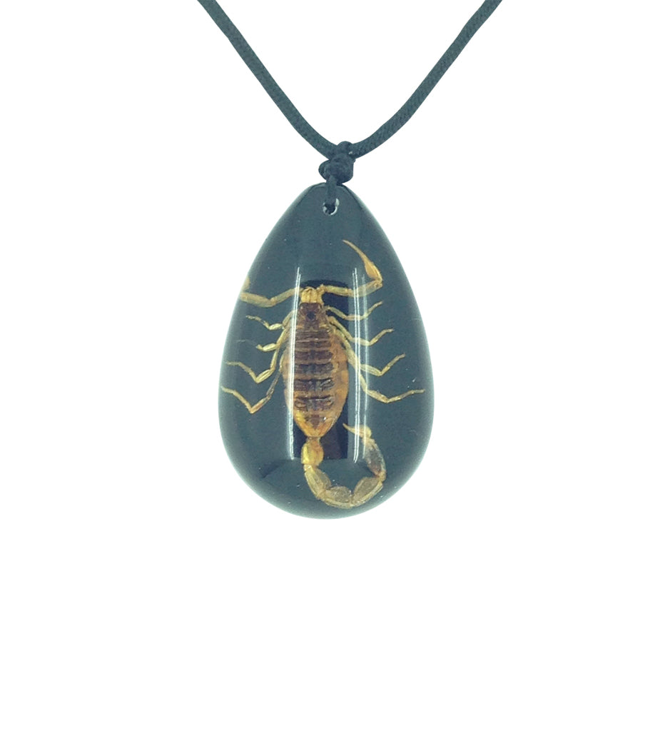 Real Scorpion Black Pendant Necklace