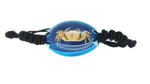 Real Crab Blue Bracelet