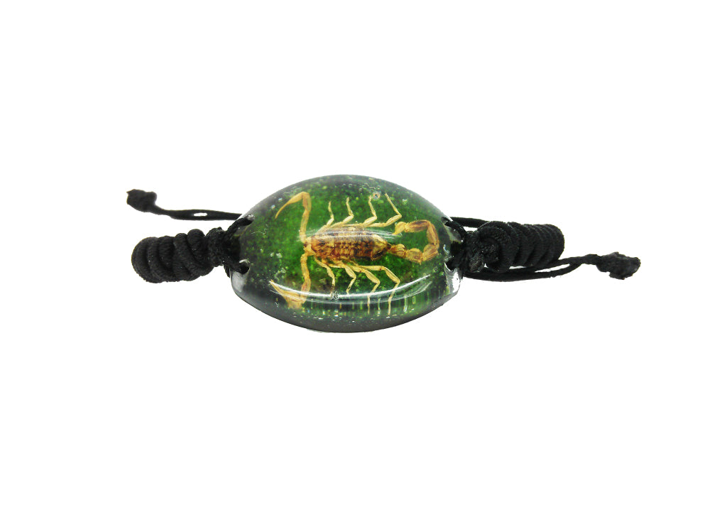 Real Scorpion Green Bracelet
