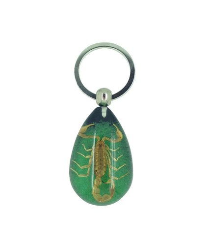 Real Scorpion Green Keyring Keychain