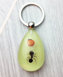 Real Giant Ant with Seed Glow in the Dark Resin Keyring