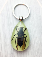 Real Giant Bee Glow in the Dark Resin Keyring