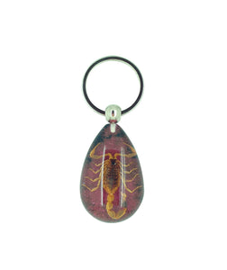 Real Scorpion Purple Keyring Keychain