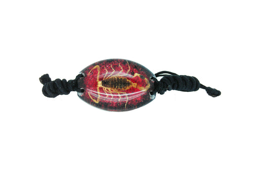 Real Scorpion Red Bracelet