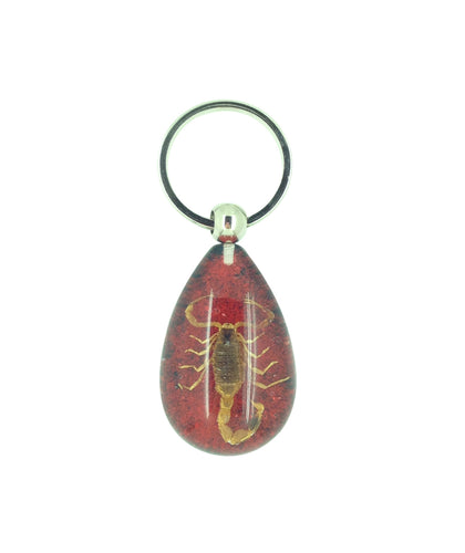 Real Scorpion Red Keyring Keychain