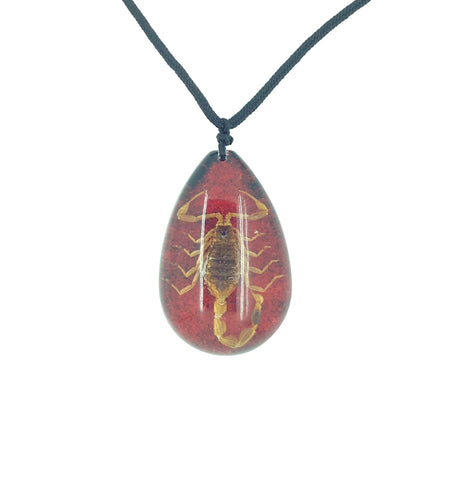 Real Scorpion Red Pendant Necklace