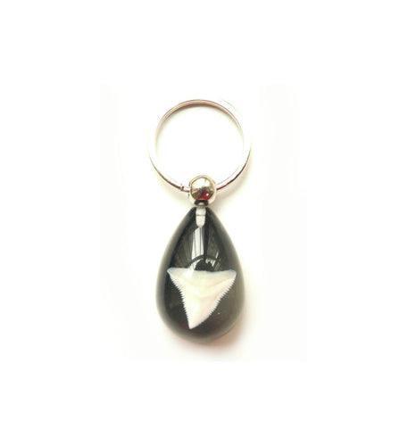 Lucky Real Sharks Tooth Black Keyring Keychain