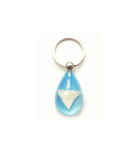 Lucky Real Sharks Tooth Blue Keyring Keychain