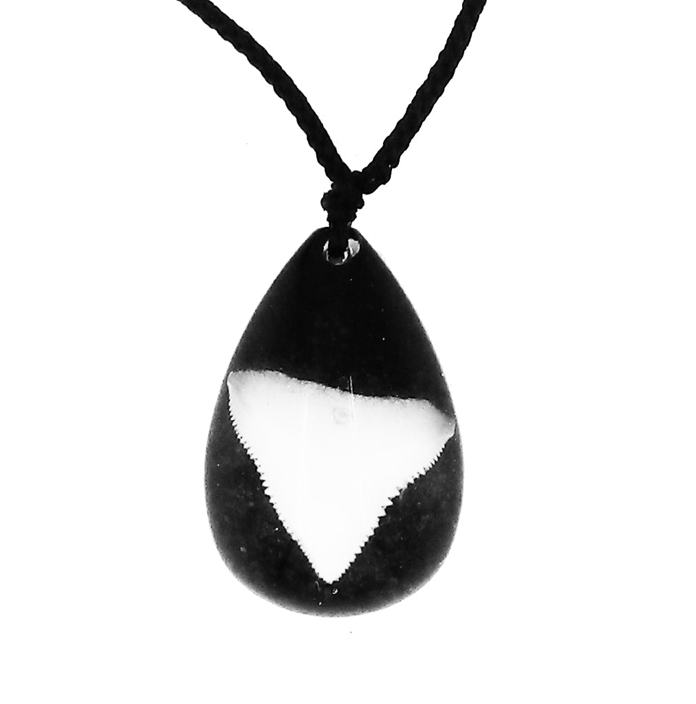 Lucky Real Sharks Tooth Black Pendant Necklace
